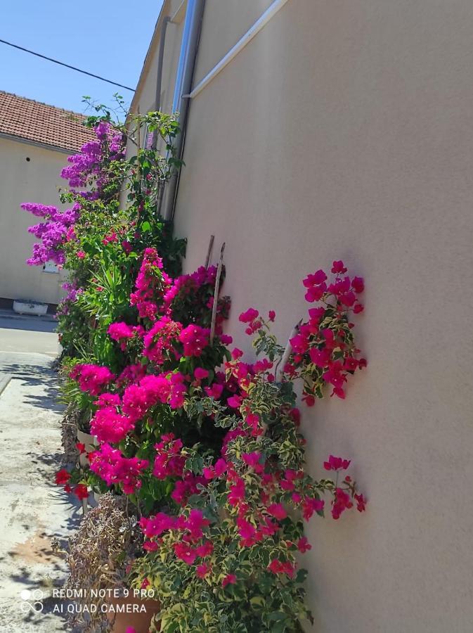 Apartments Iva Pakostane Bagian luar foto